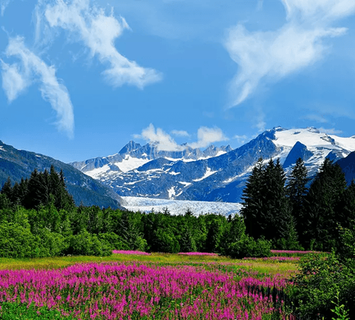 picture of juneau